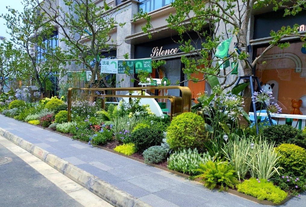 商业景观植物设计