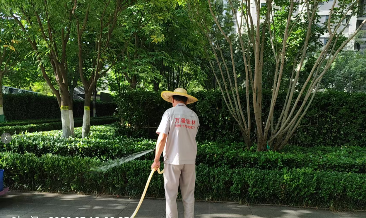 夏季高温胁迫下城市园林绿化精细化养护管理策略研究